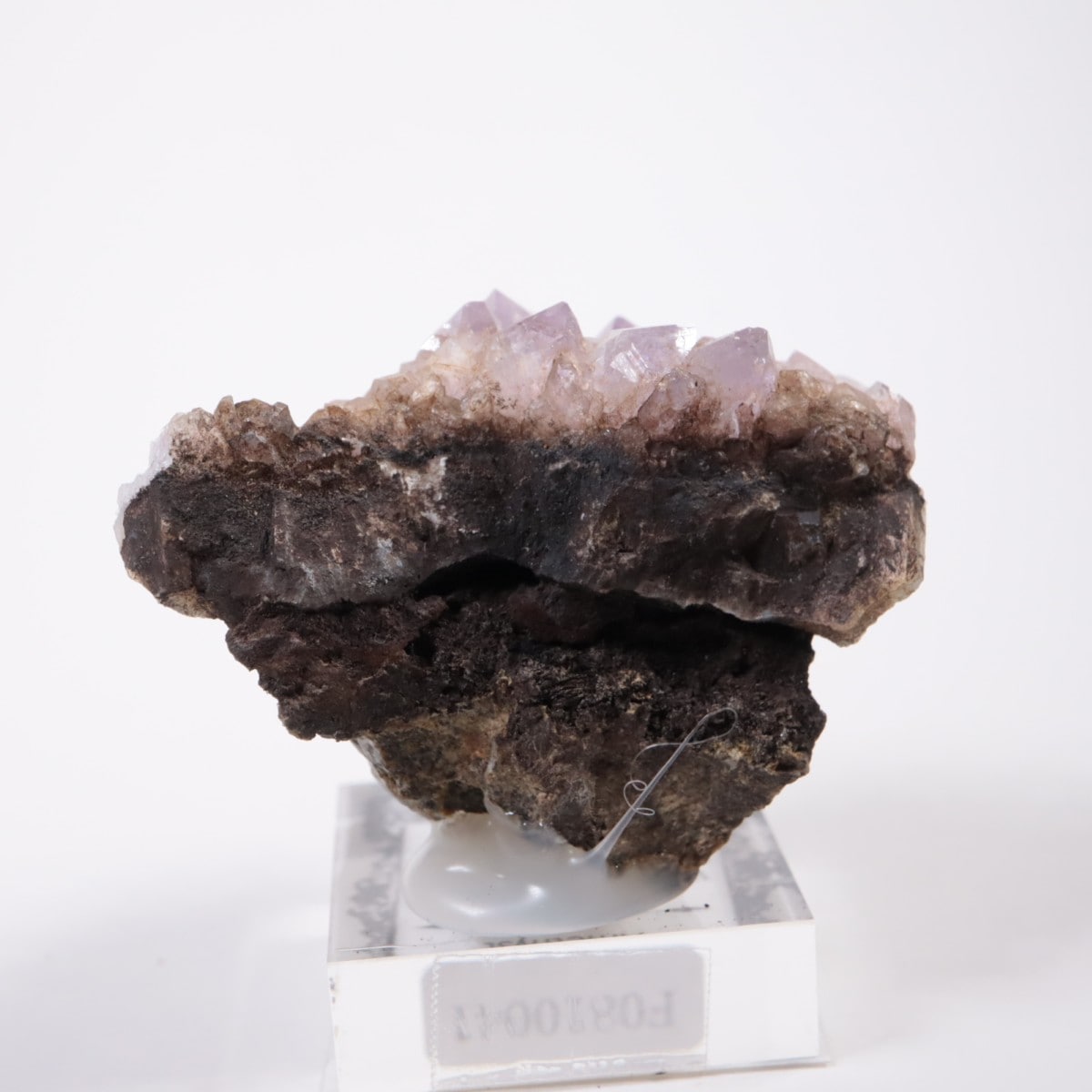 �磻���ߥ󥰽��� ���᥷����