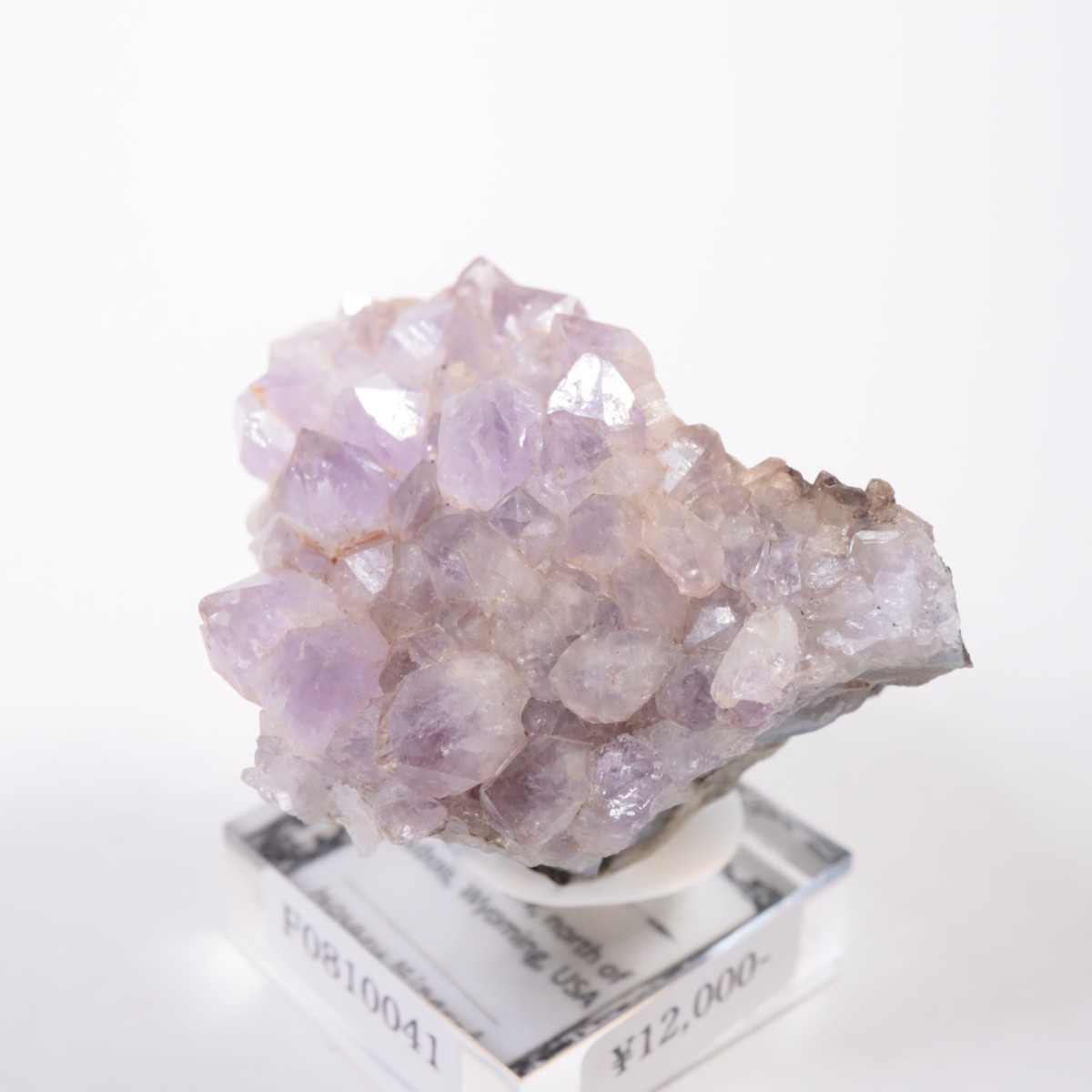 �磻���ߥ󥰽��� ���᥷����