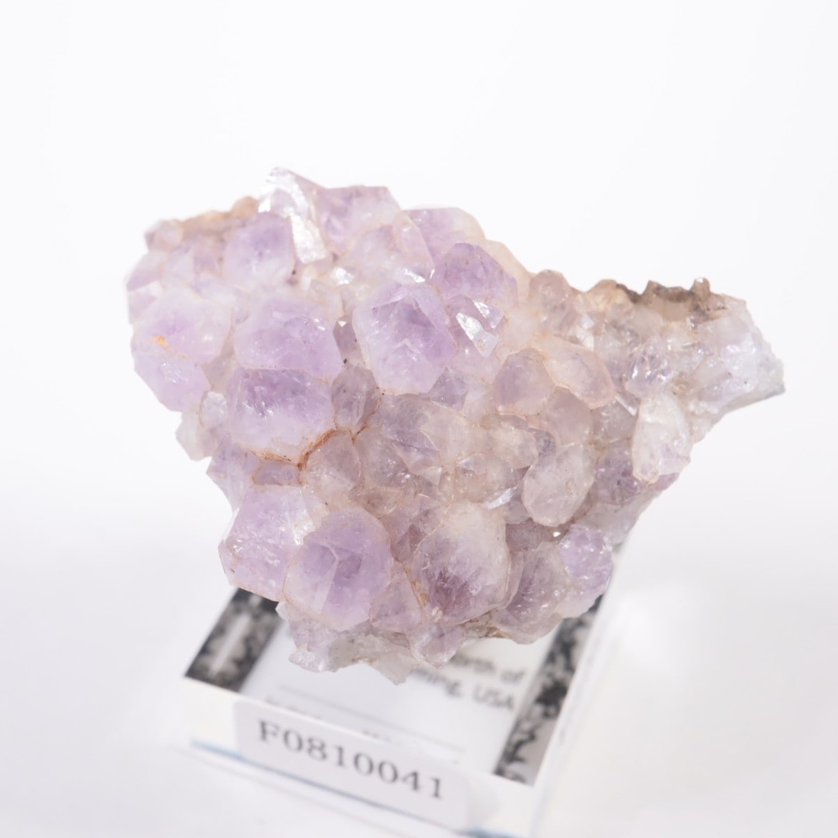 �磻���ߥ󥰽��� ���᥷����