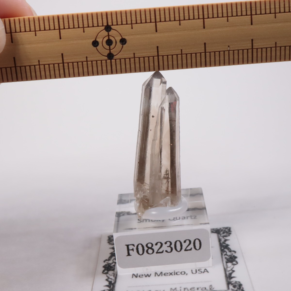 Smokey Bear Quartz Claims ���⡼������������