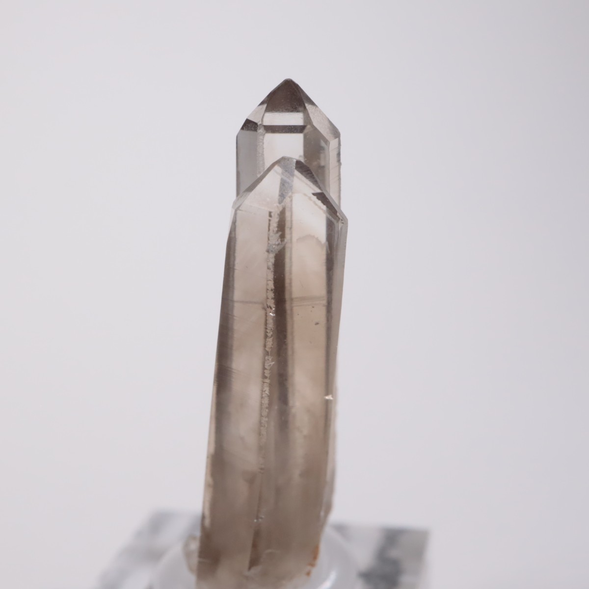 Smokey Bear Quartz Claims ���⡼������������