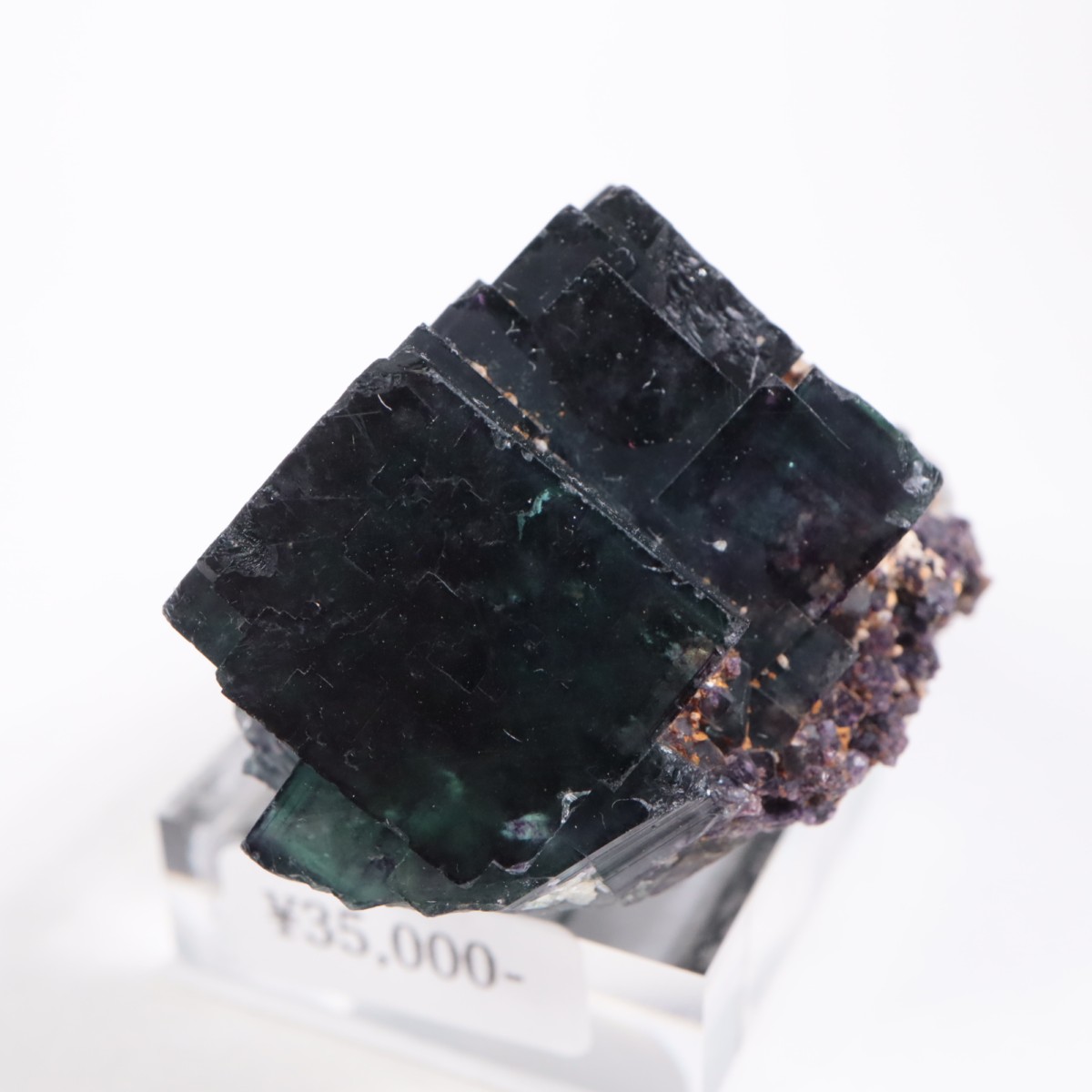 �����륹�ۻ��� �ե����饤��