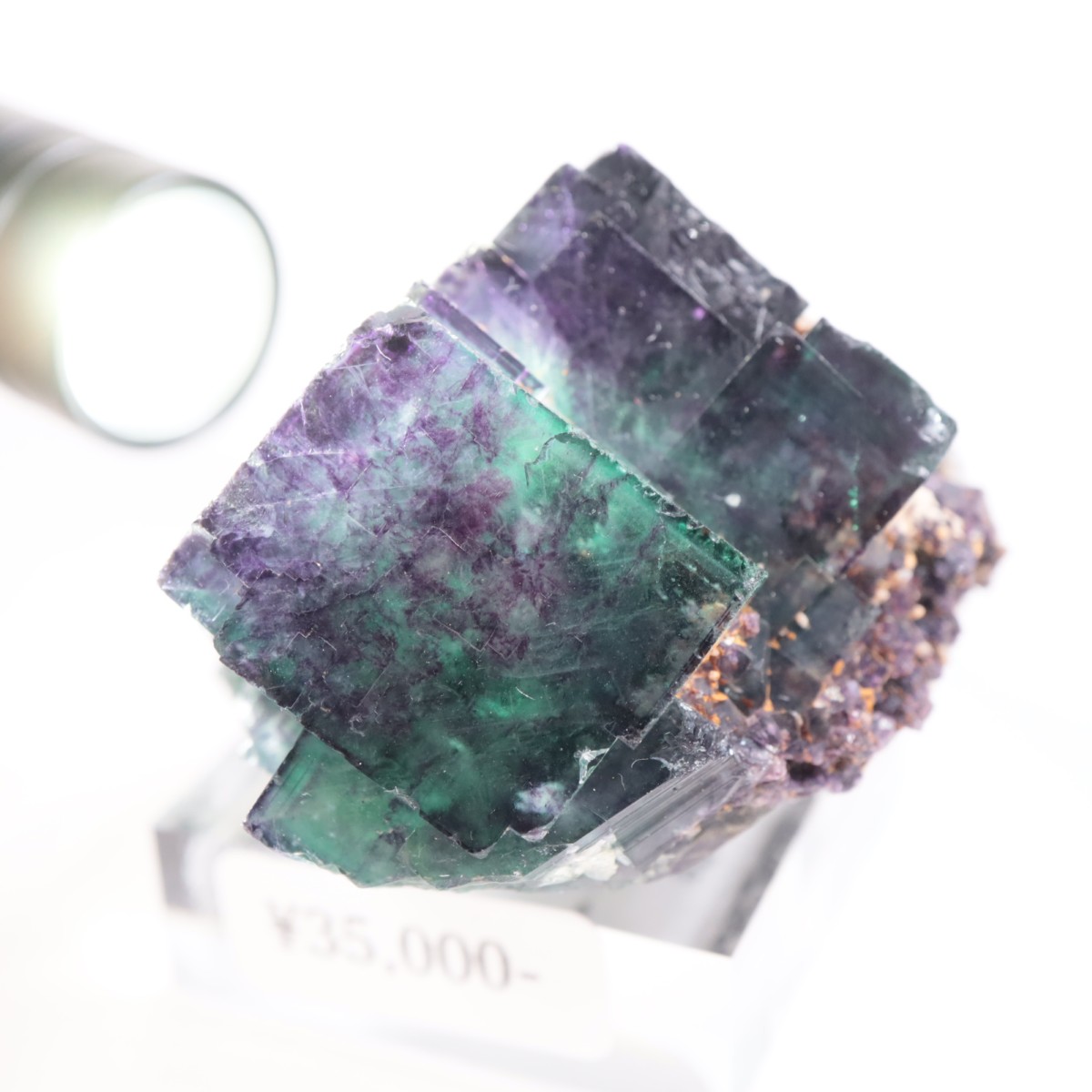 �����륹�ۻ��� �ե����饤��