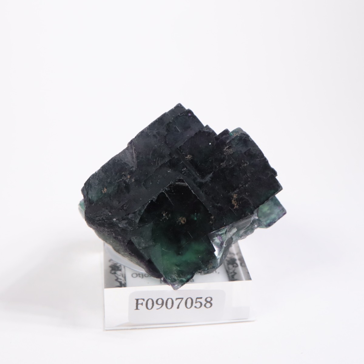 �����륹�ۻ��� �ե����饤��