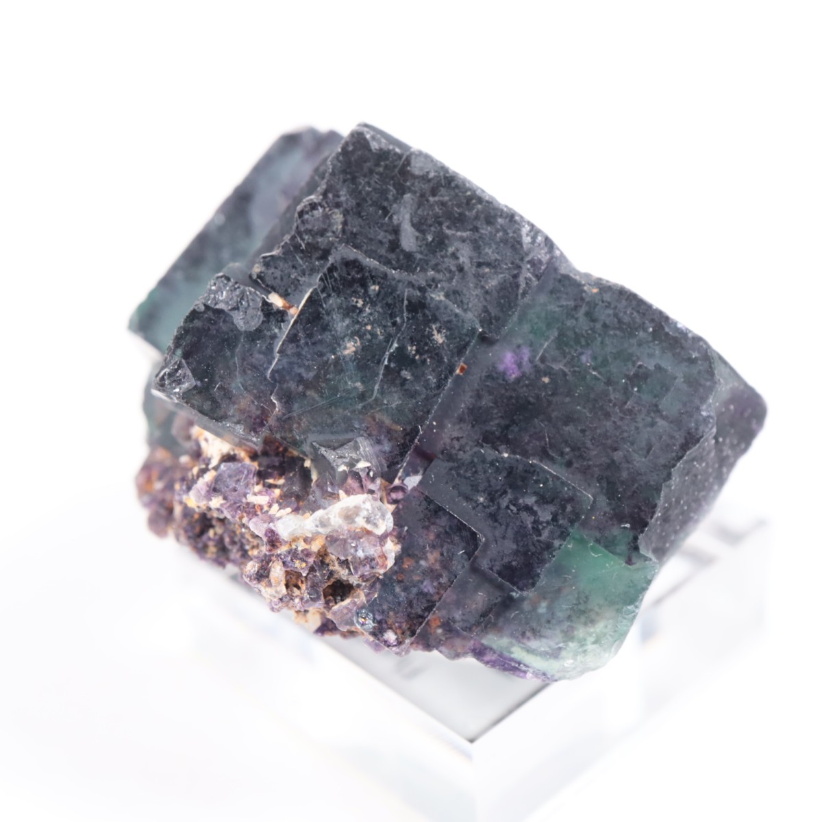 �����륹�ۻ��� �ե����饤��