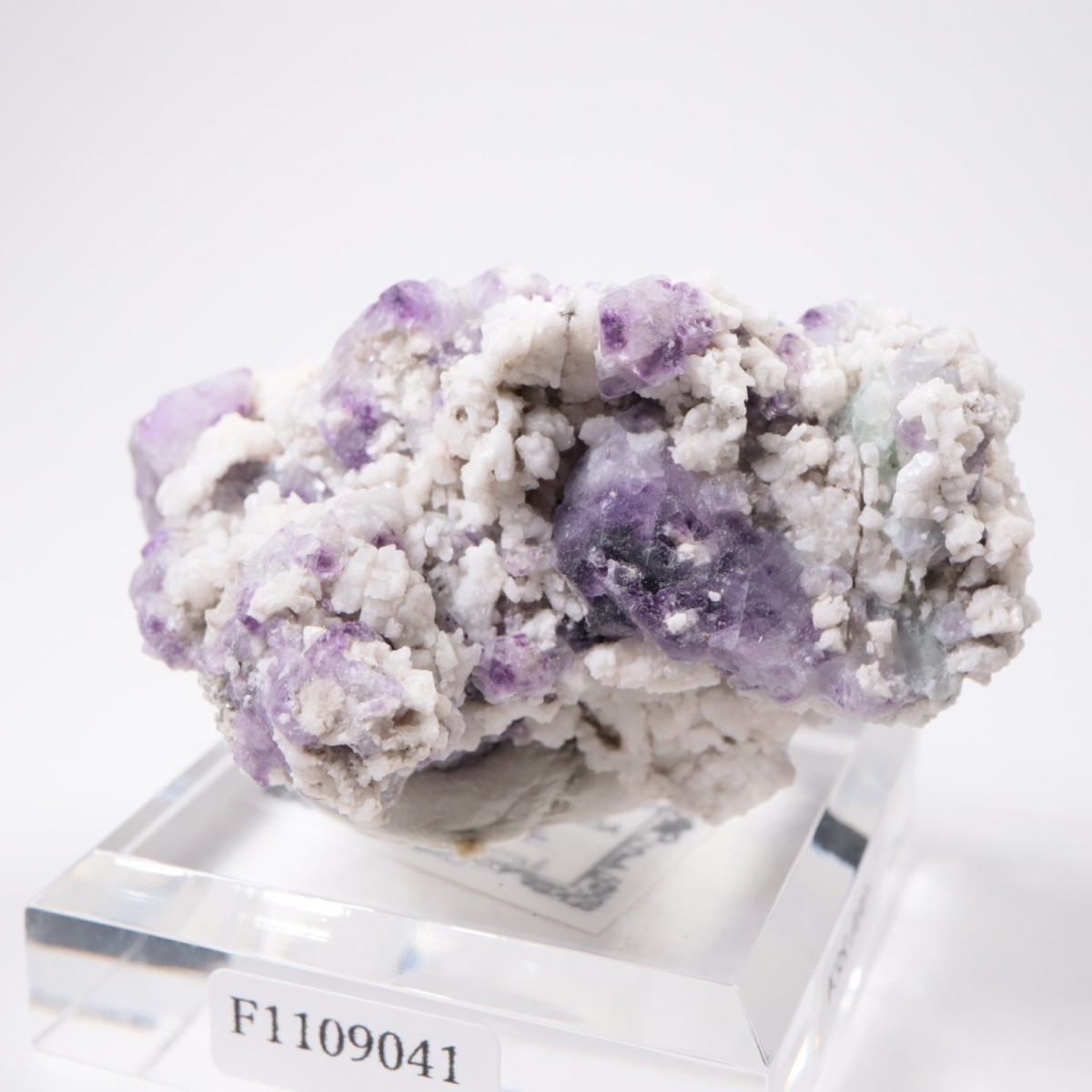 ������ɽ����ե����饤�ȡ�Ĺ��