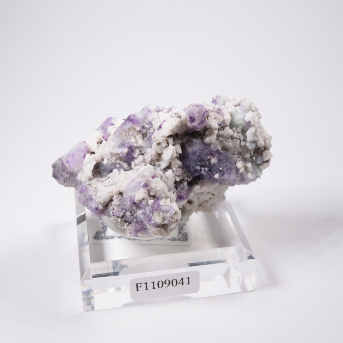 ������ɽ����ե����饤�ȡ�Ĺ��