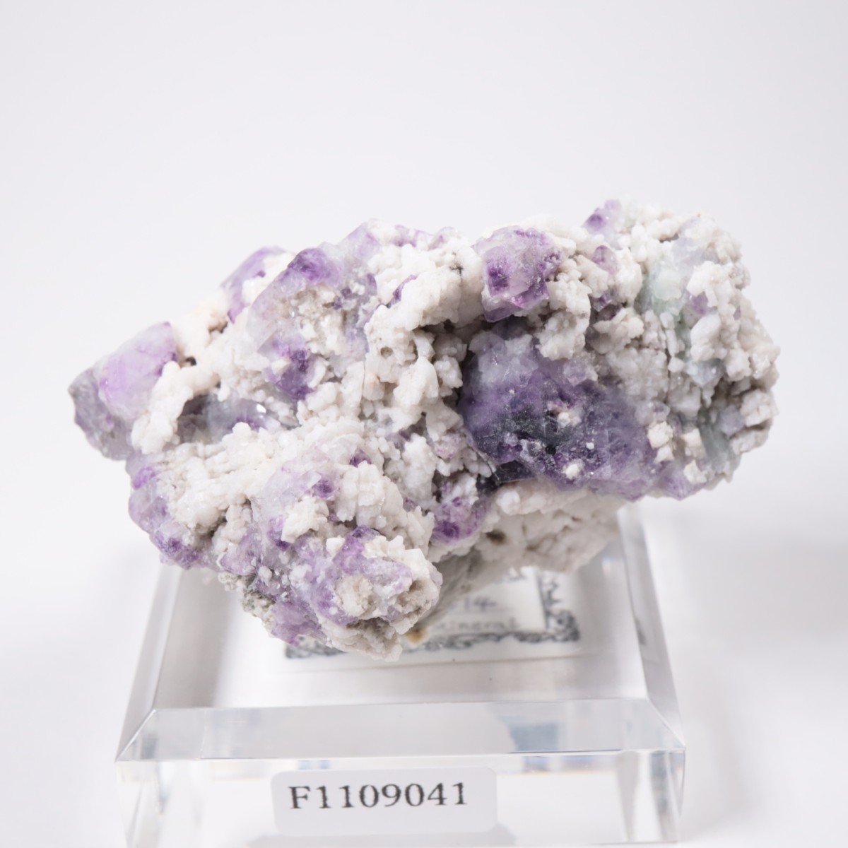 ������ɽ����ե����饤�ȡ�Ĺ��