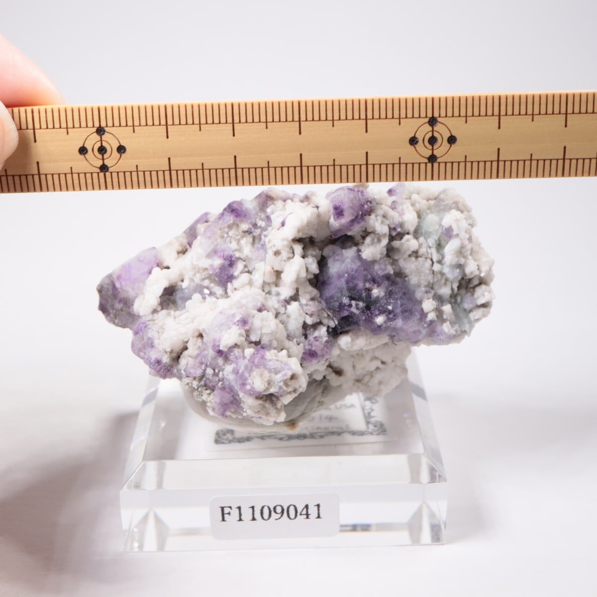 ������ɽ����ե����饤�ȡ�Ĺ��