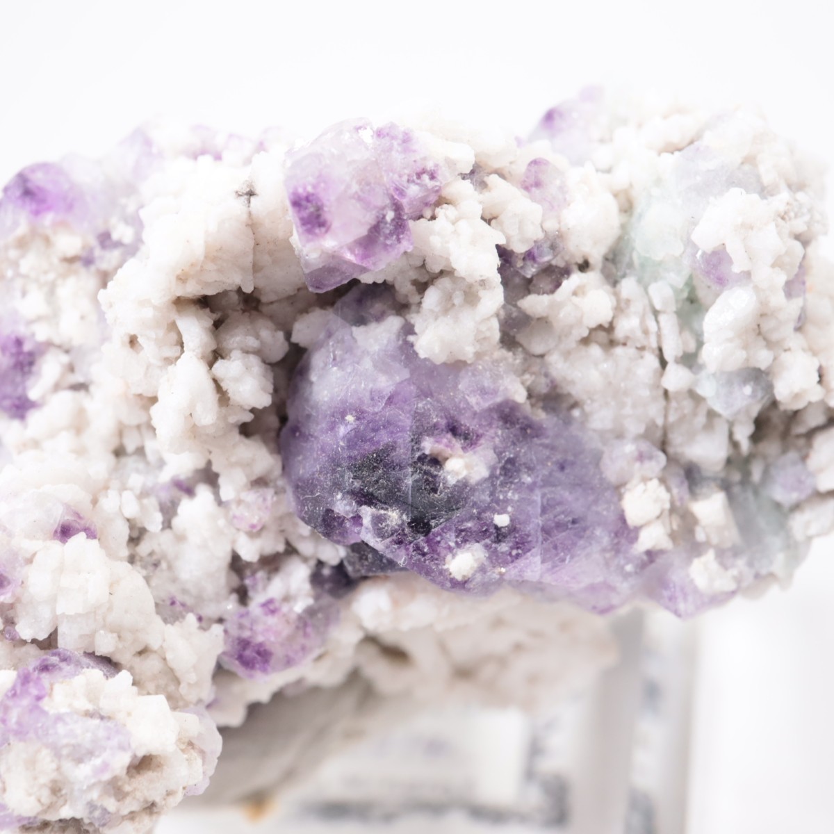 ������ɽ����ե����饤�ȡ�Ĺ��