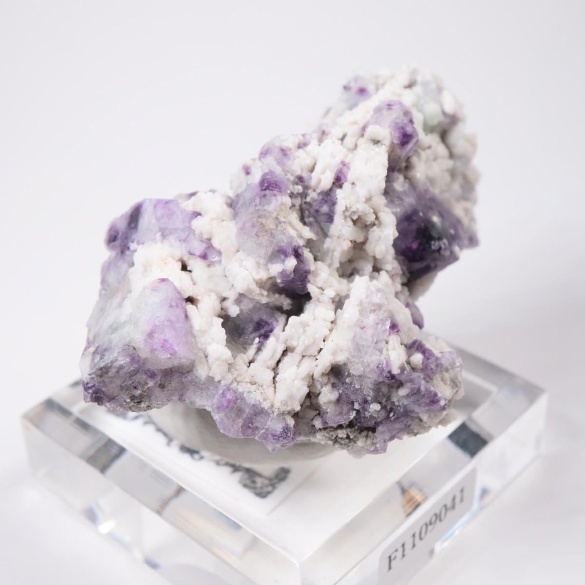 ������ɽ����ե����饤�ȡ�Ĺ��