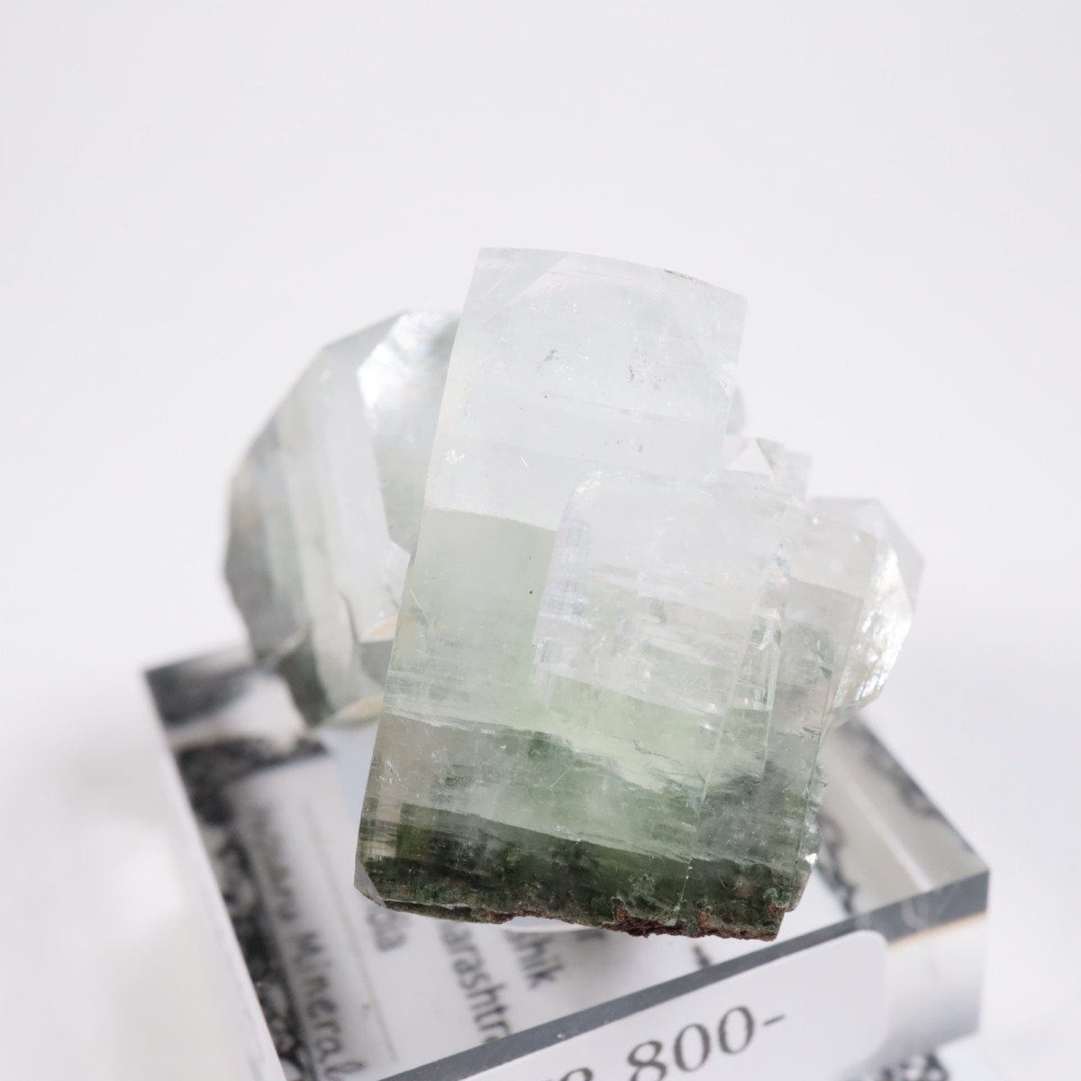 ����ɻ� ���ݥե��饤��