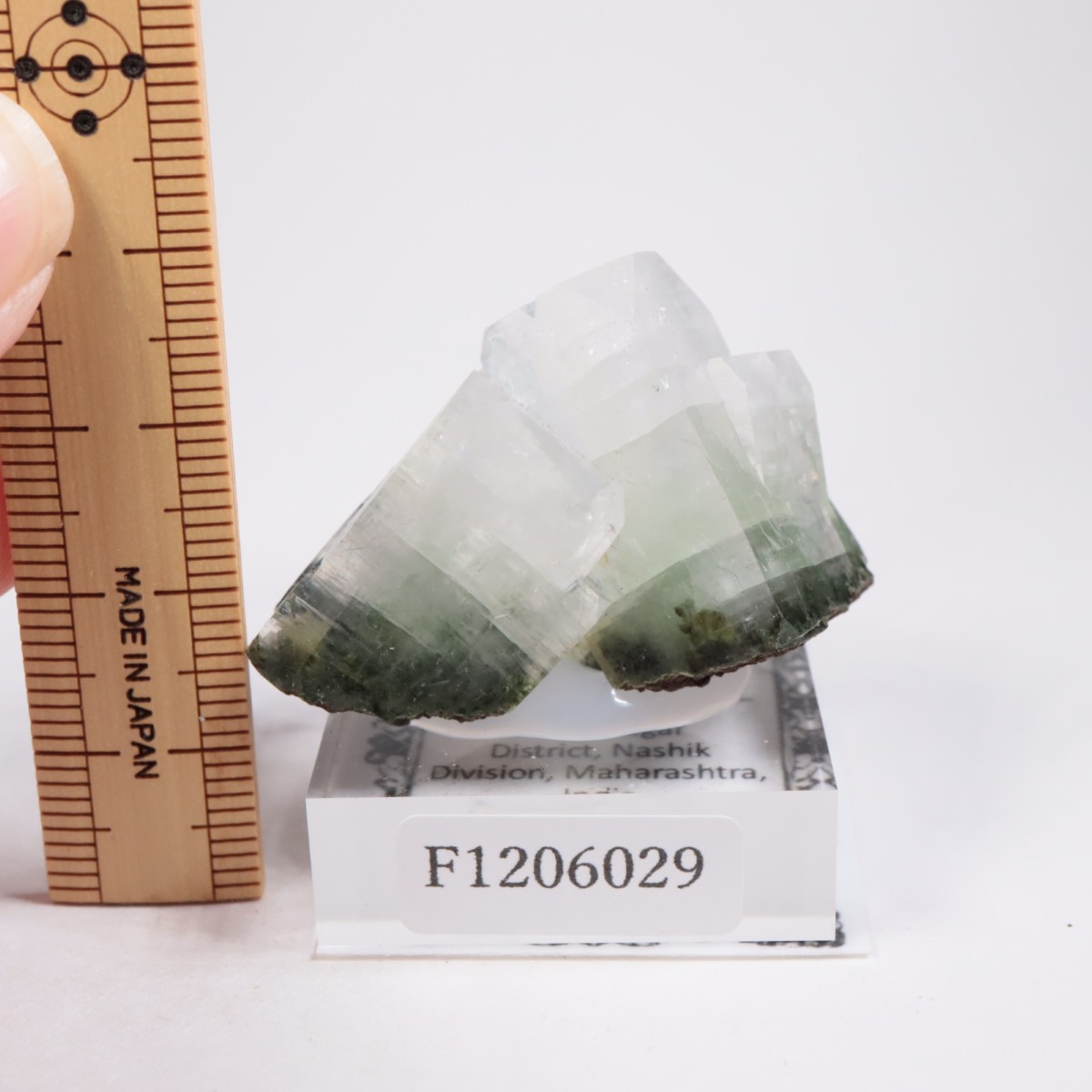 ����ɻ� ���ݥե��饤��