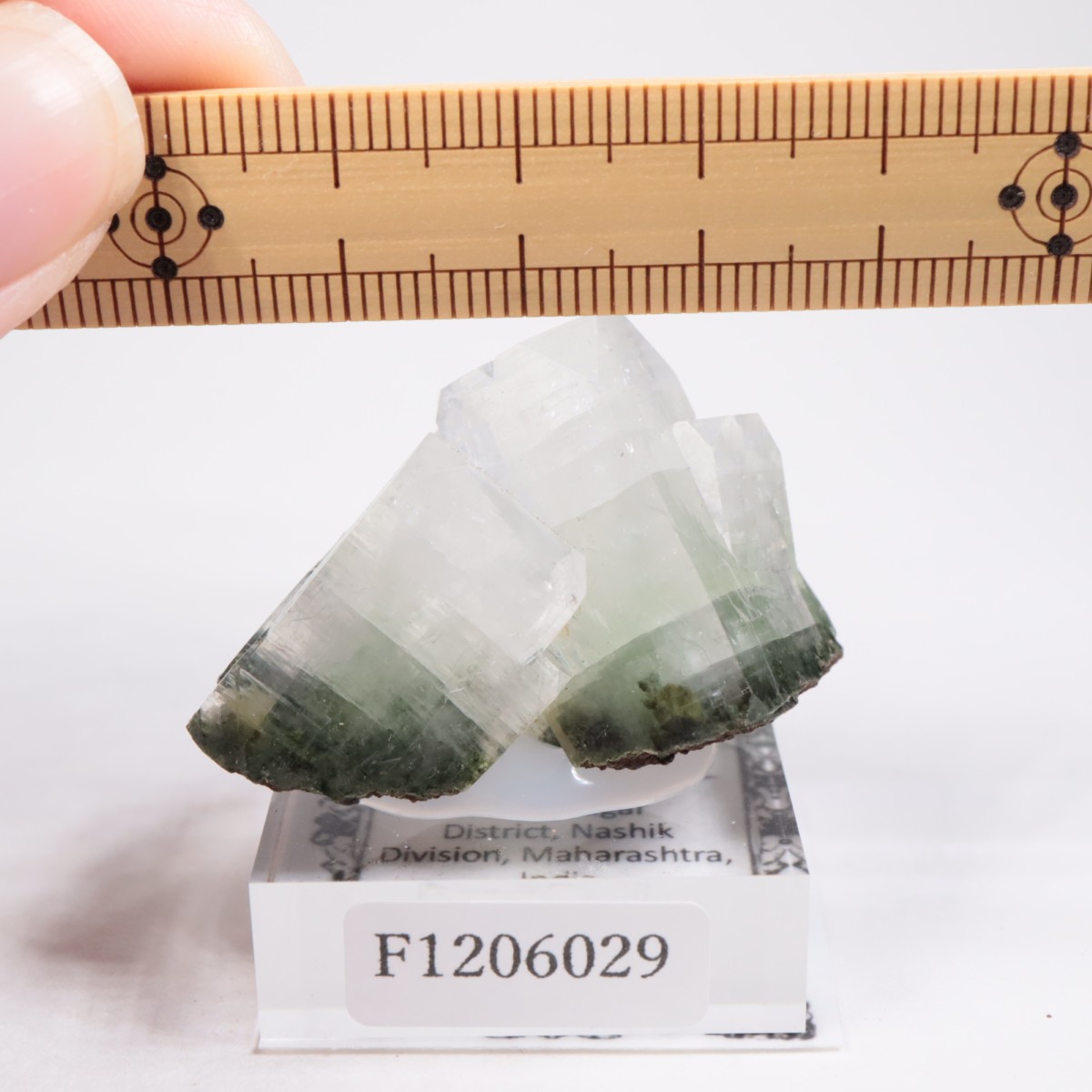 ����ɻ� ���ݥե��饤��