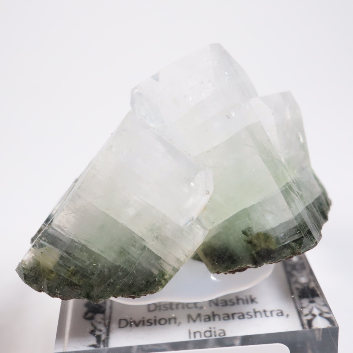 ����ɻ� ���ݥե��饤��