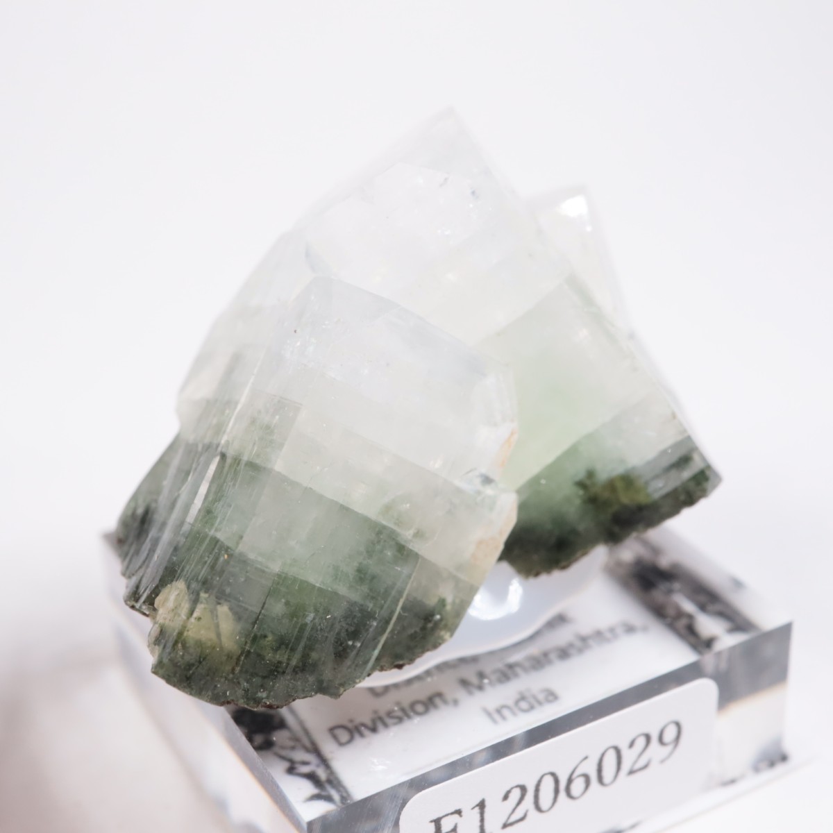 ����ɻ� ���ݥե��饤��