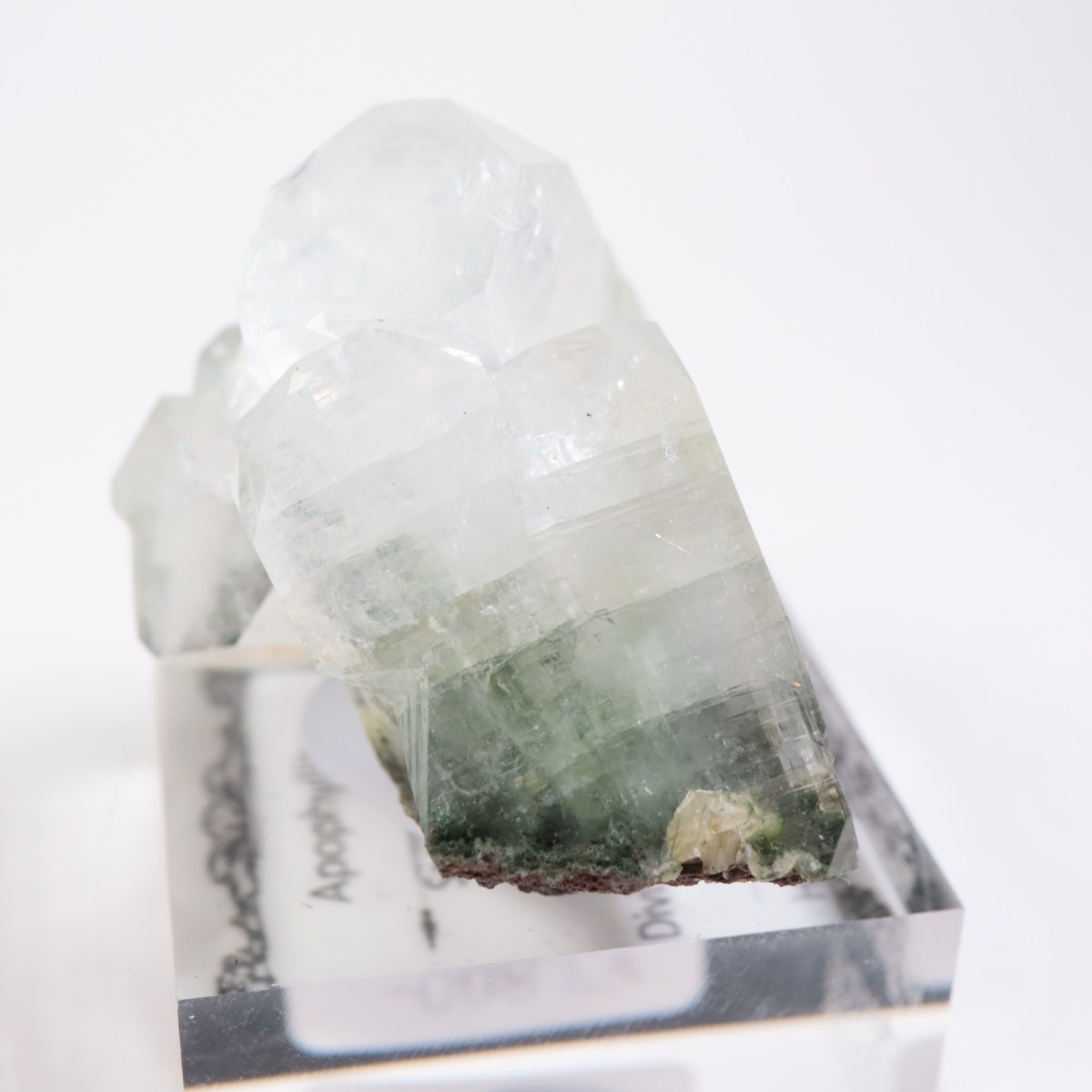 ����ɻ� ���ݥե��饤��