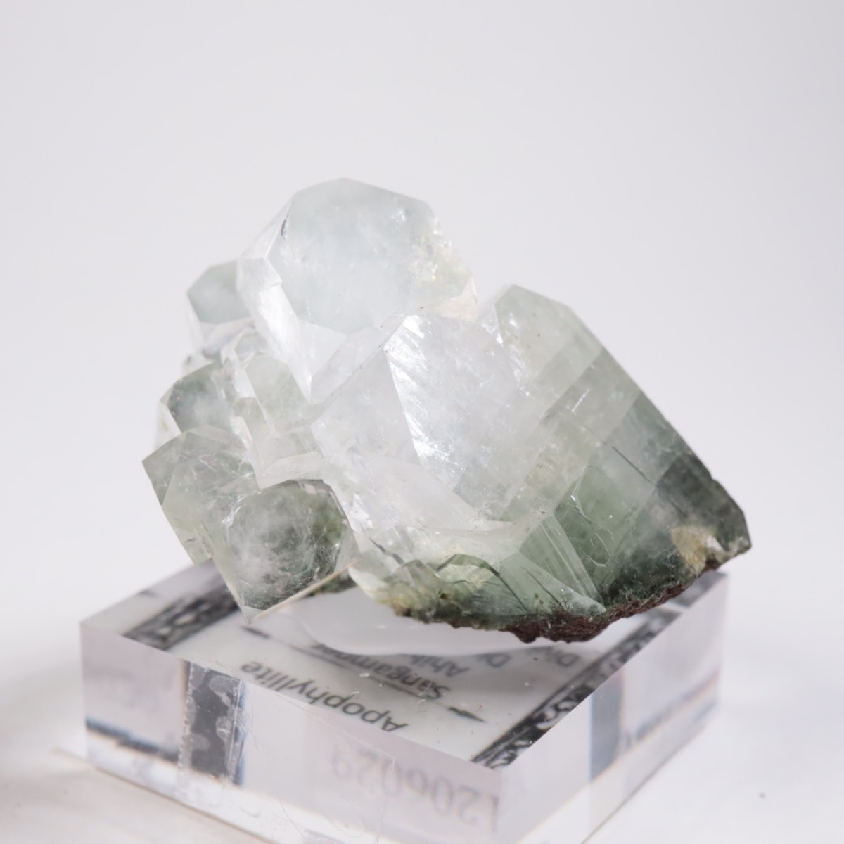 ����ɻ� ���ݥե��饤��