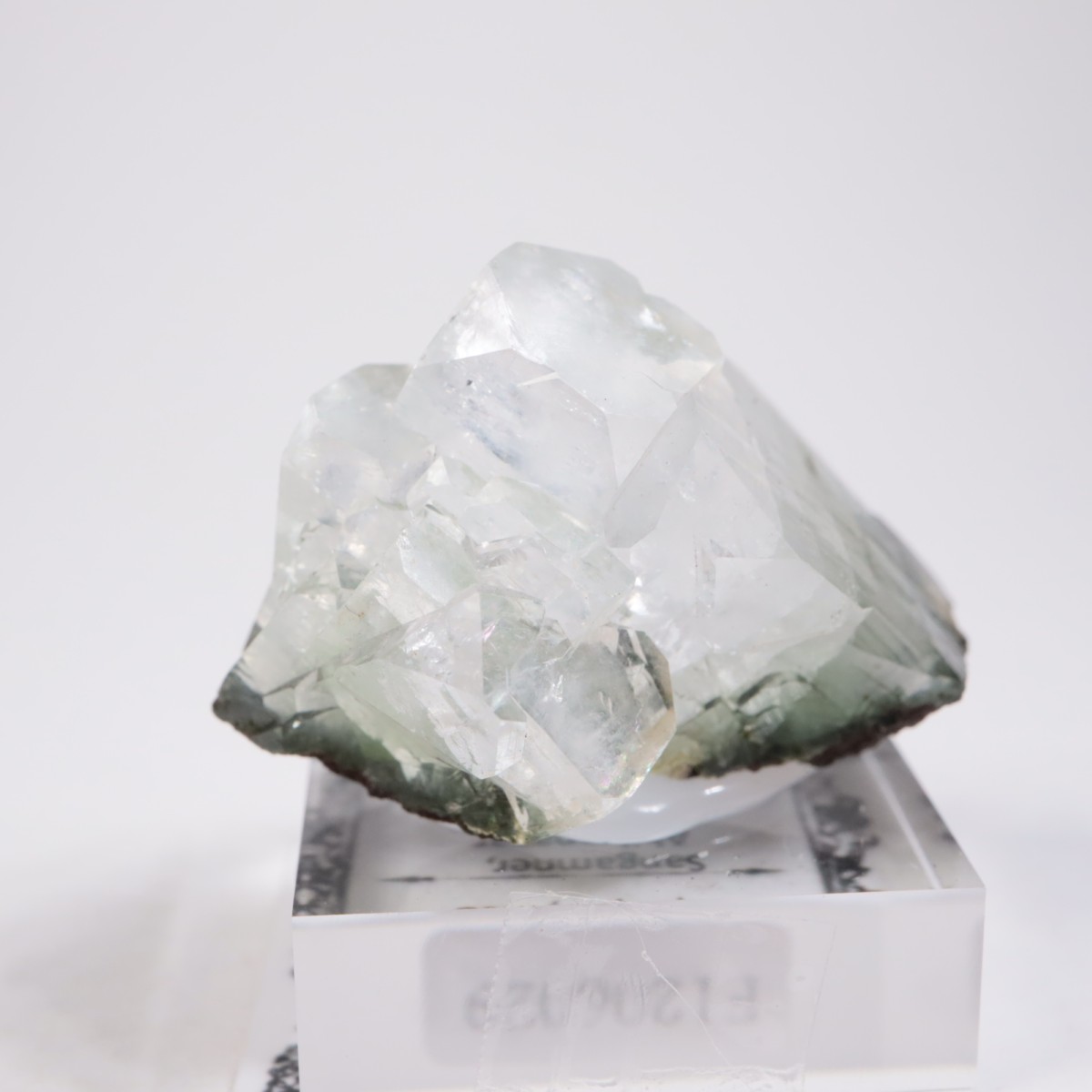 ����ɻ� ���ݥե��饤��