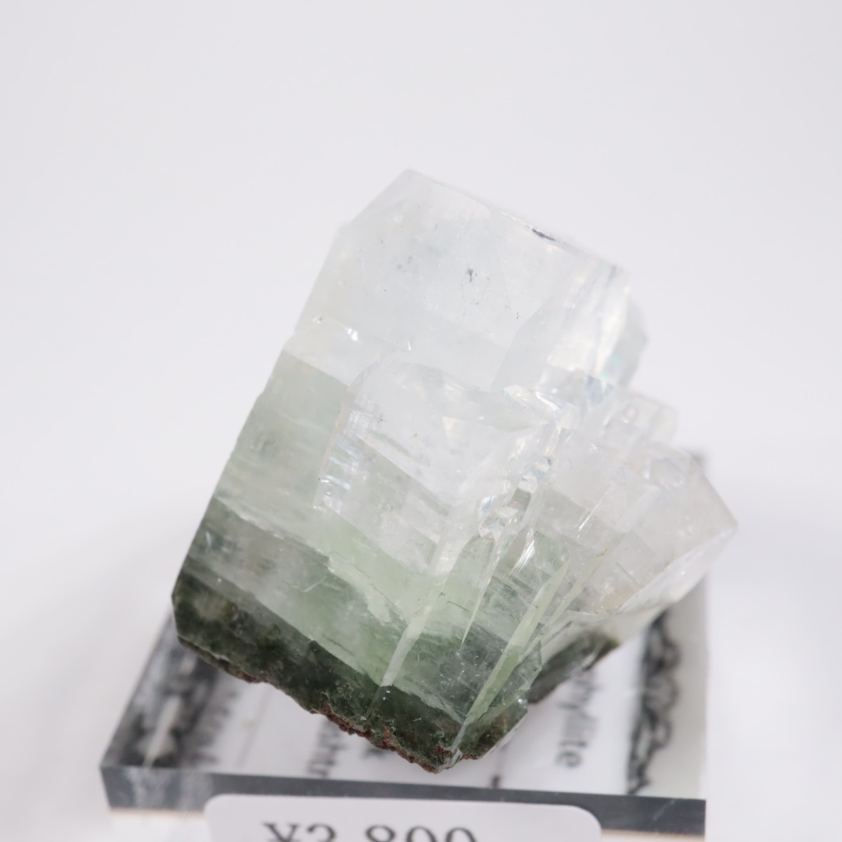 ����ɻ� ���ݥե��饤��