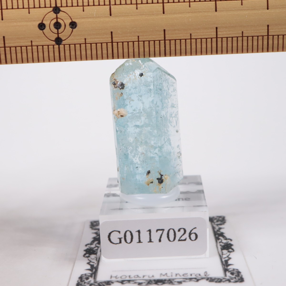 �֥饸�뻺 �������ޥ��