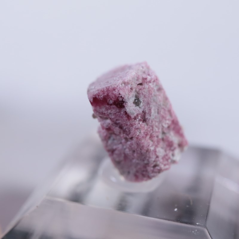 �楿��������åɥ٥��