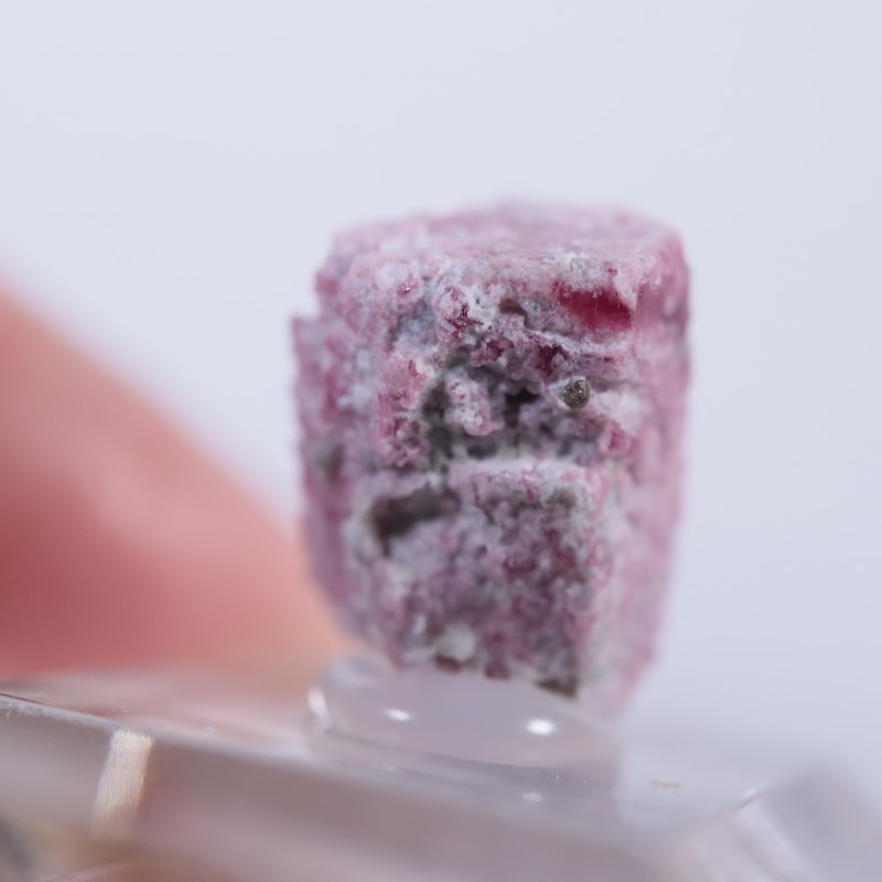 �楿��������åɥ٥��