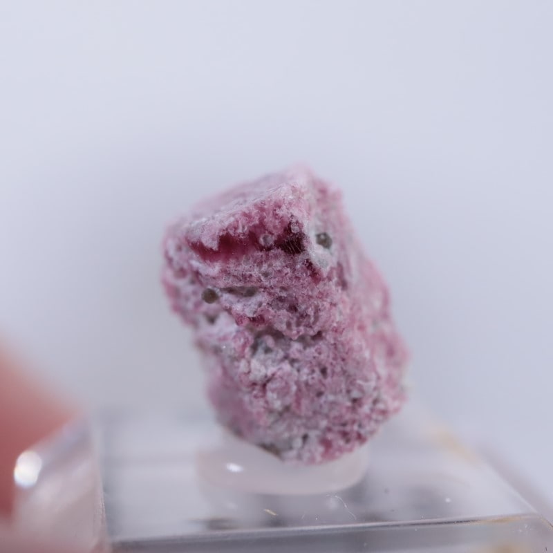 �楿��������åɥ٥��