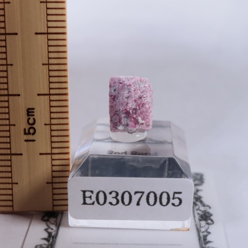 �楿��������åɥ٥��