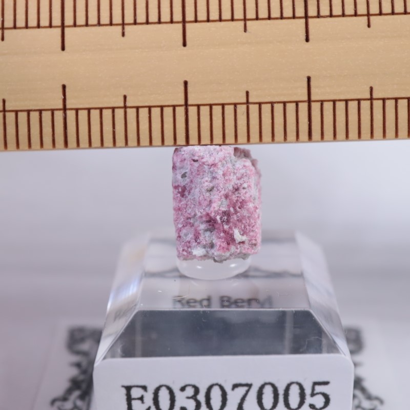 �楿��������åɥ٥��