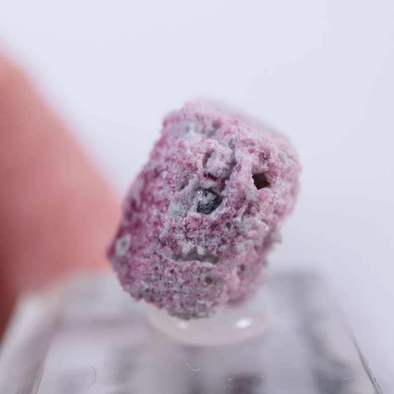 �楿��������åɥ٥��