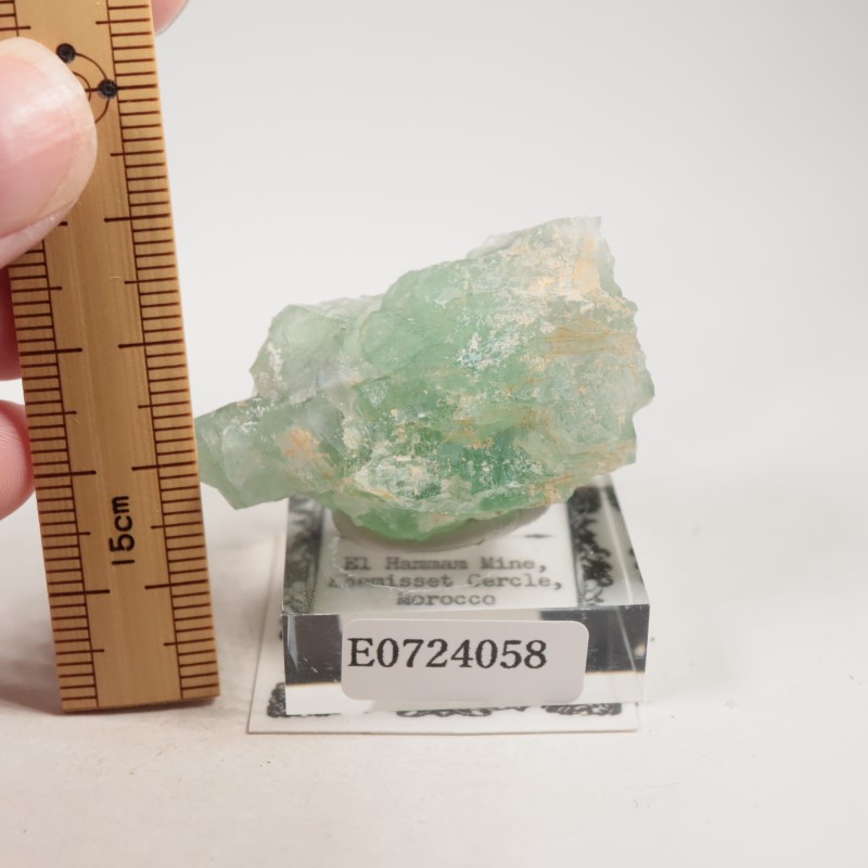 El Hammam�ۻ�������