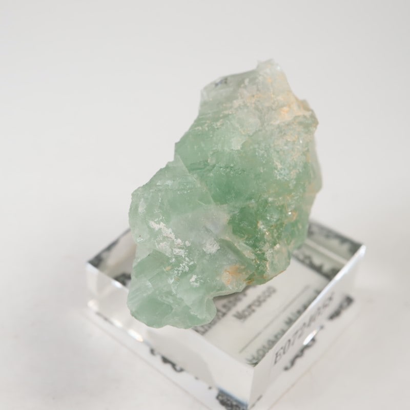 El Hammam�ۻ�������