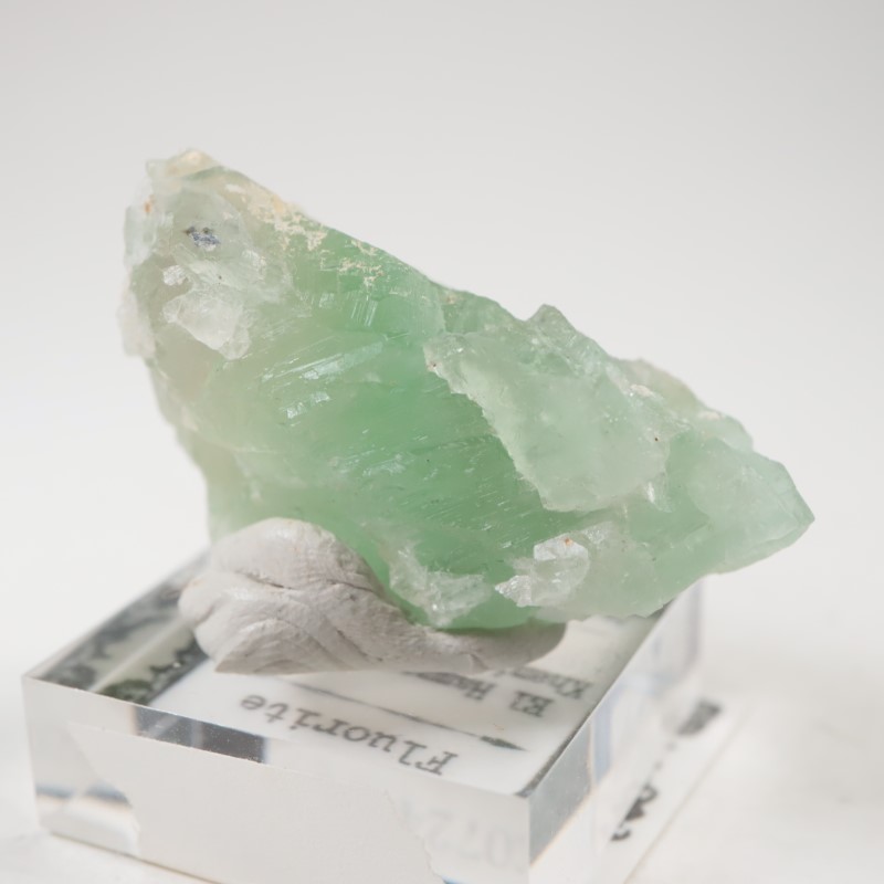 El Hammam�ۻ�������