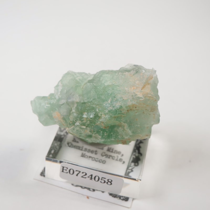 El Hammam�ۻ�������