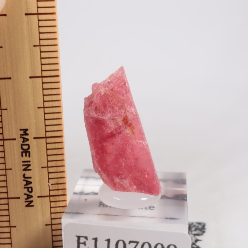 �֥饸�뻺�������ɥʥ���