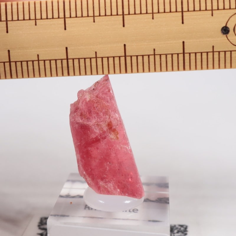 �֥饸�뻺�������ɥʥ���