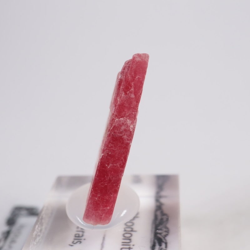 �֥饸�뻺�������ɥʥ���