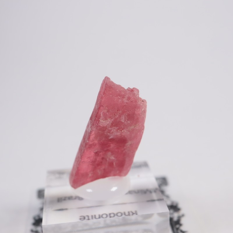 �֥饸�뻺�������ɥʥ���