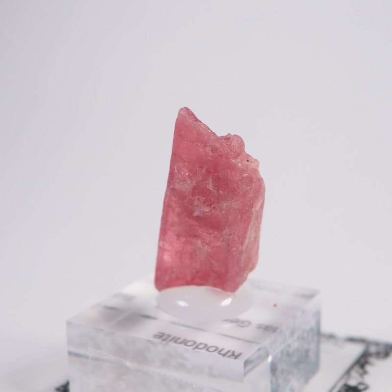 �֥饸�뻺�������ɥʥ���