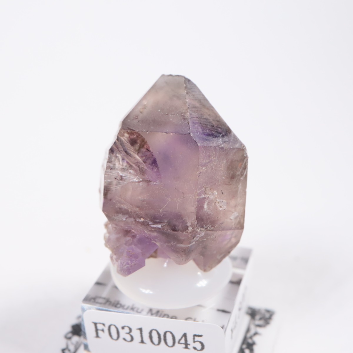 Chibuku�ۻ��� ���᥷����