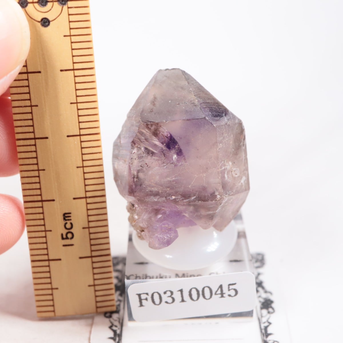 Chibuku�ۻ��� ���᥷����