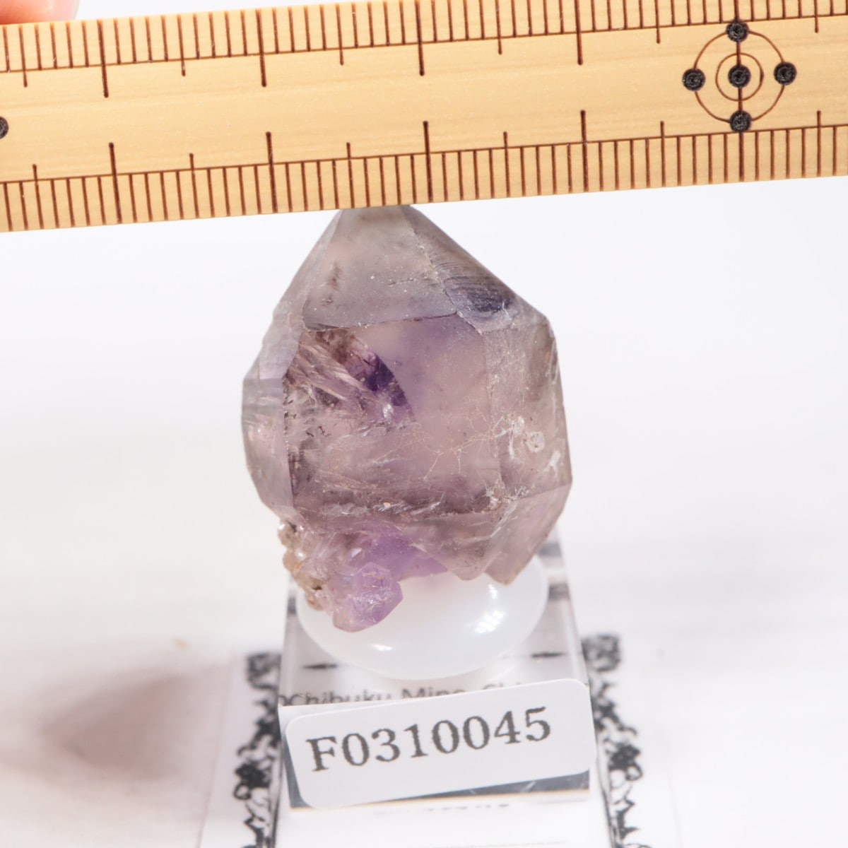 Chibuku�ۻ��� ���᥷����