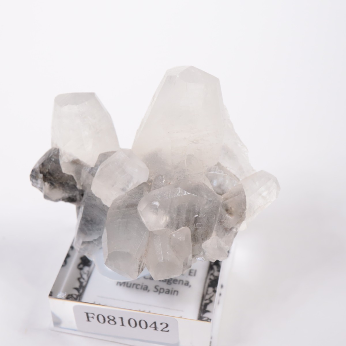 ���ڥ��� ���륵����