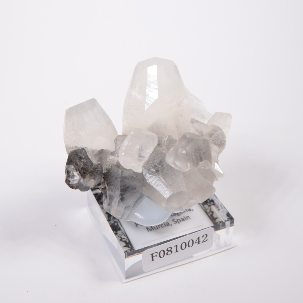 ���ڥ��� ���륵����