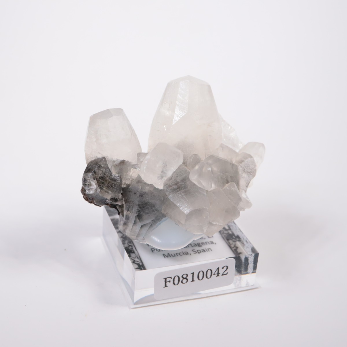 ���ڥ��� ���륵����