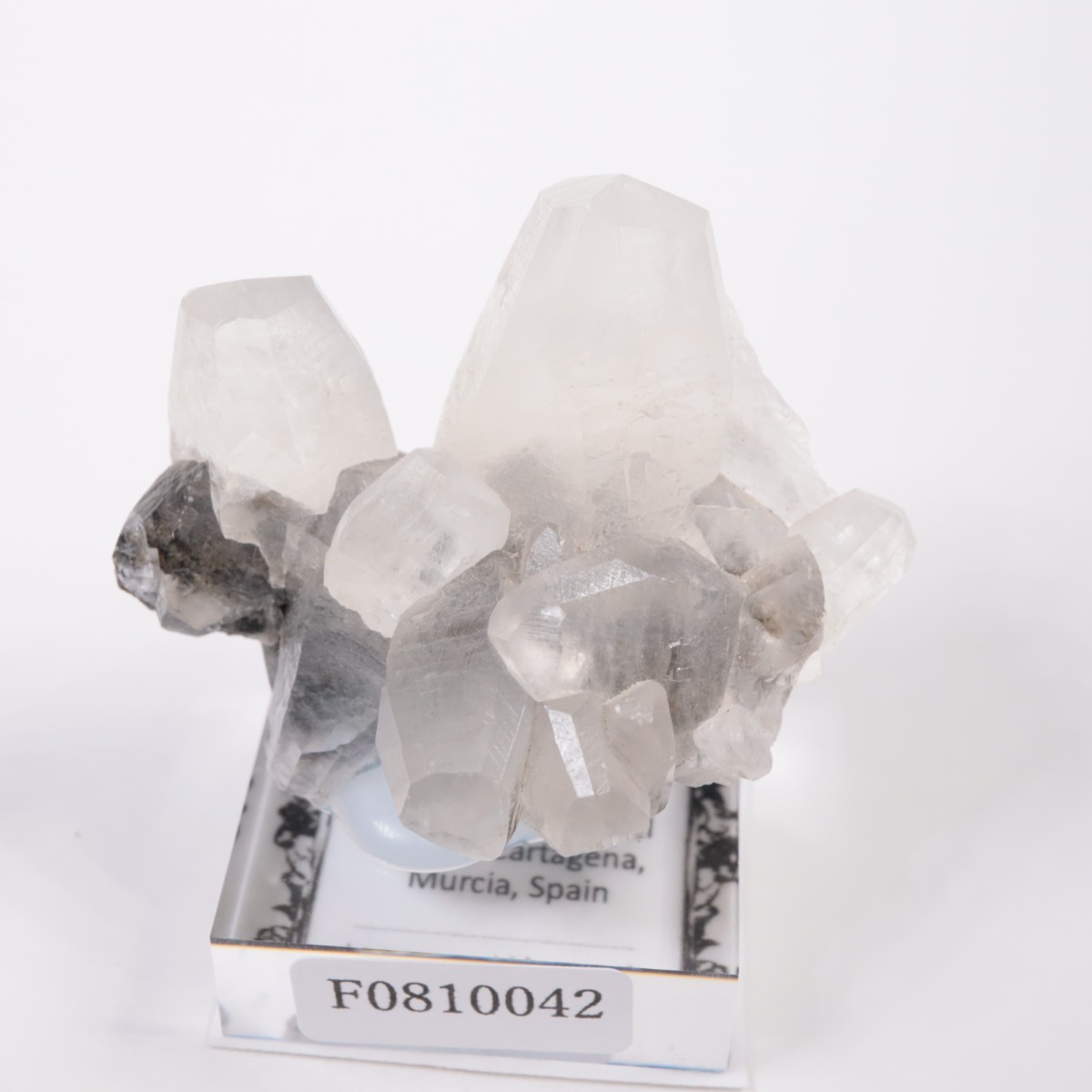 ���ڥ��� ���륵����