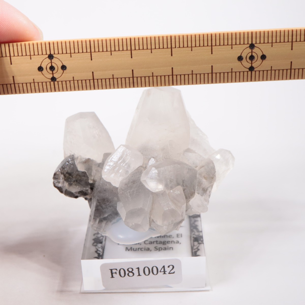 ���ڥ��� ���륵����