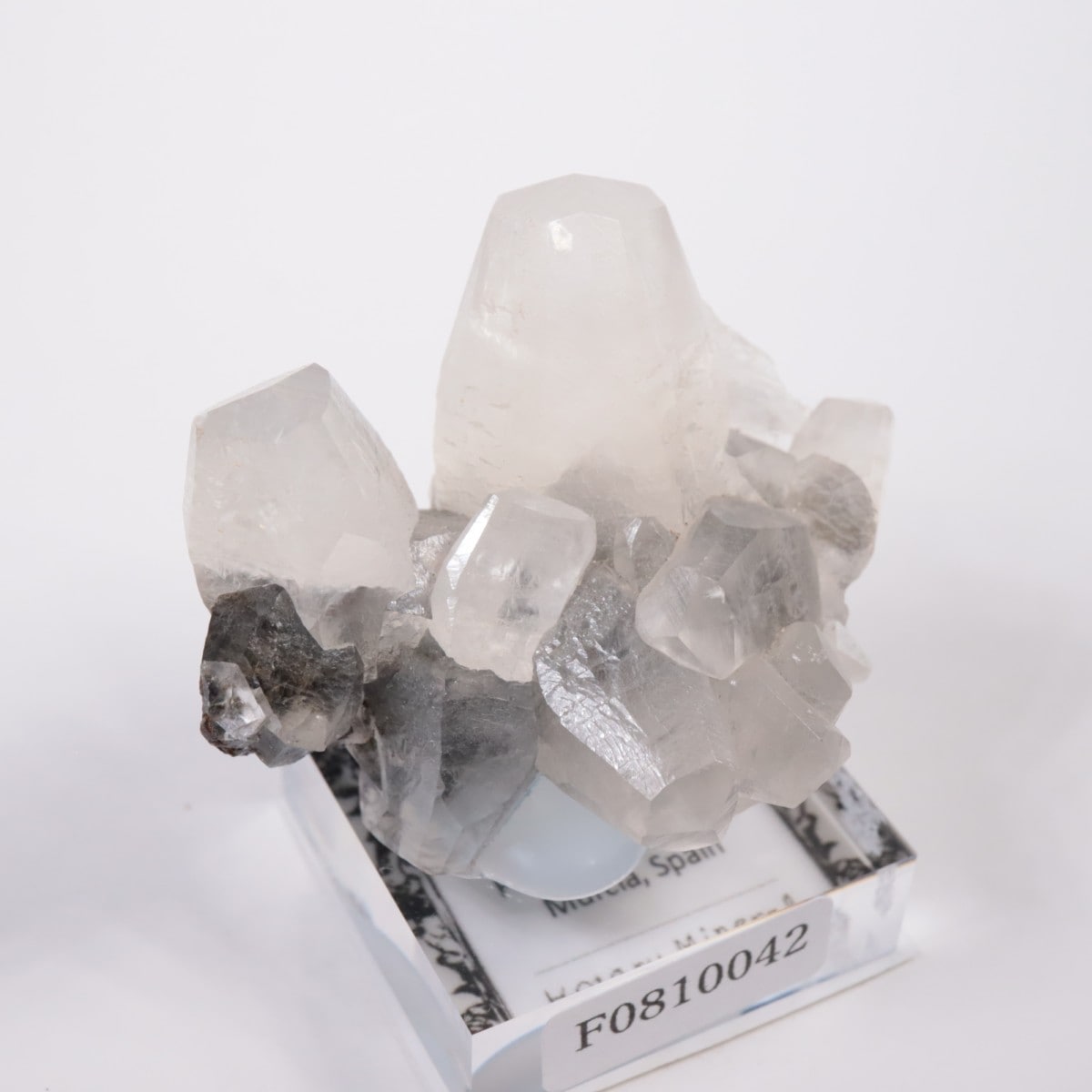 ���ڥ��� ���륵����