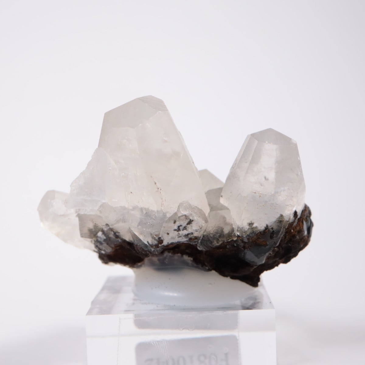 ���ڥ��� ���륵����